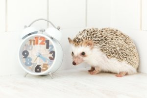 あなたの『本当の時給』はいくらですか？「時間の価値」を意識する大切さ